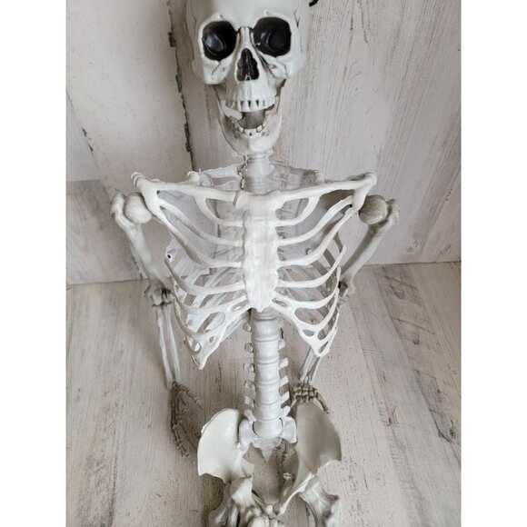 Halloween hanging skeleton prop home decor bone rib cage - Picture 2 of 12